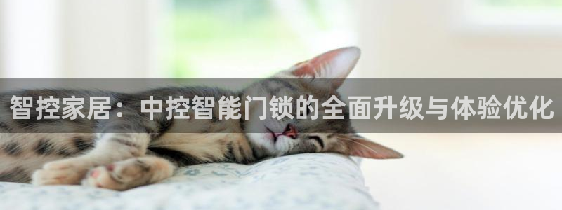 金年会在线：智控家居：中控智能门锁的全面升级与体验优化
