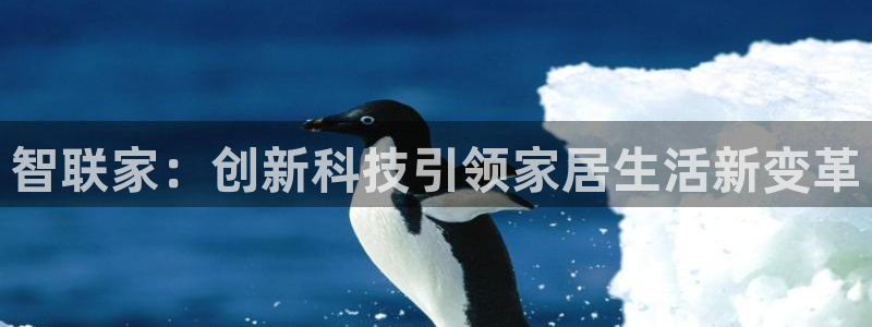 金年会平台是什么