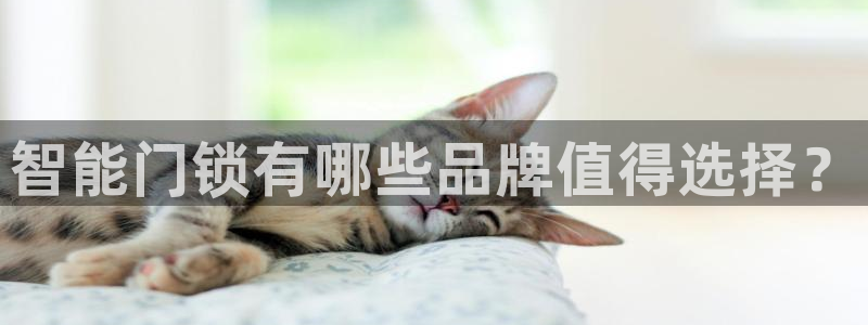 类似金年会：智能门锁有哪些品牌值得选择？