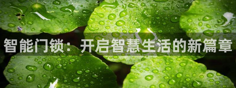 金年会 平台：智能门锁：开启智慧生活的新篇章