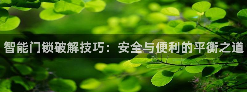 金年会最新官网：智能门锁破解技巧：安全与便利的平衡之道