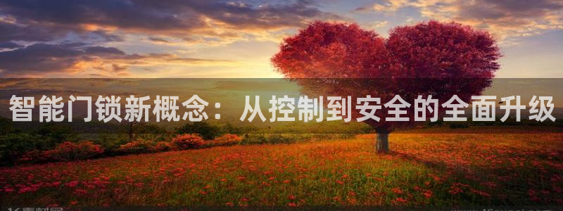 金年会体育官方：智能门锁新概念：从控制到安全的全面升级