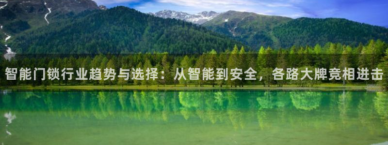 金年会体育app官网：智能门锁行业趋势与选择：从智能到安全，