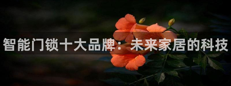 金年会提款：智能门锁十大品牌：未来家居的科技