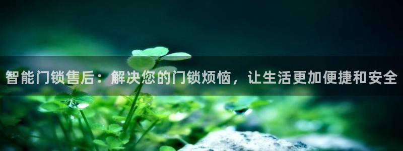 6766金年会：智能门锁售后：解决您的门锁烦恼，让生活更加便