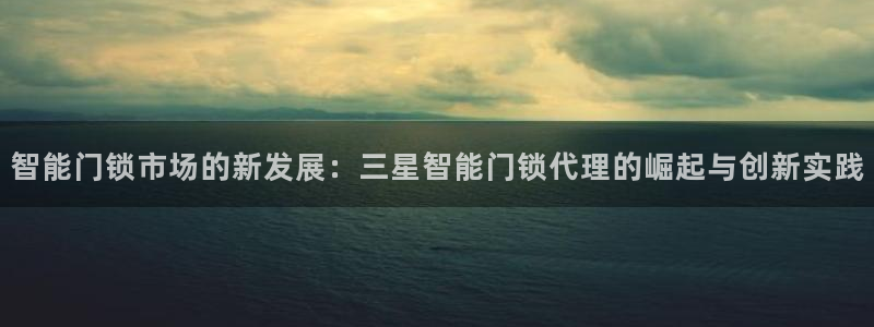 金年会介绍：智能门锁市场的新发展：三星智能门锁代理的崛起与创