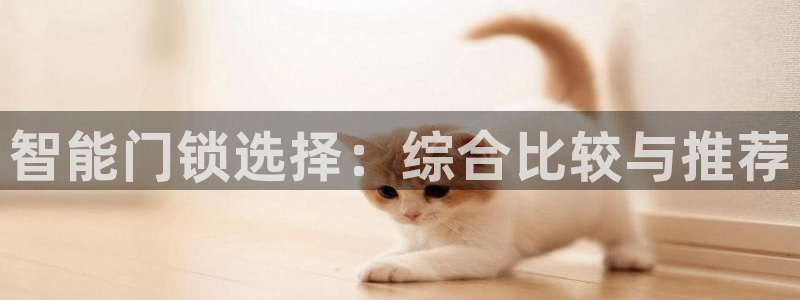 金齿科年会：智能门锁选择：综合比较与推荐