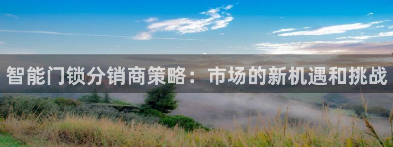 为什么搜索不了金年会：智能门锁分销商策略：市场的新机遇和挑战