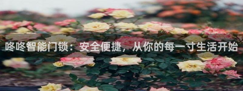 金年会平台出款：咚咚智能门锁：安全便捷，从你的每一寸生活开始