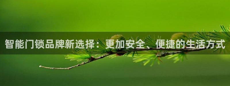 金年会娱乐下载：智能门锁品牌新选择：更加安全、便捷的生活方式