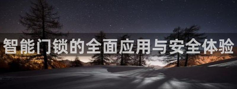 金年会登录：智能门锁的全面应用与安全体验