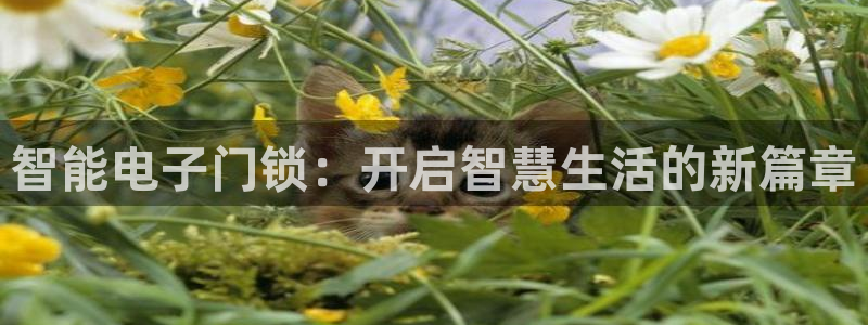 金年会6766澳门联合：智能电子门锁：开启智慧生活的新篇章