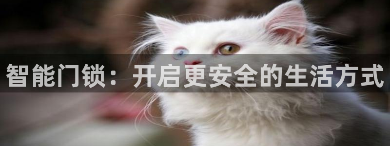 金年会APP黑钱：智能门锁：开启更安全的生活方式