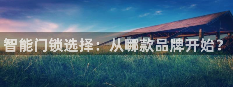 金帆年会2017：智能门锁选择：从哪款品牌开始？