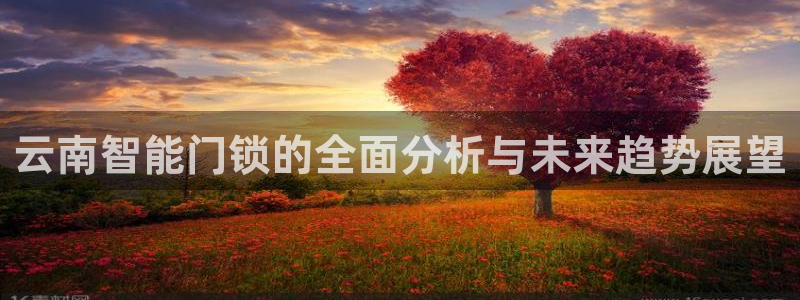 金年会在线入口：云南智能门锁的全面分析与未来趋势展望