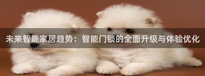 金靖年会：未来智能家居趋势：智能门锁的全面升级与体验优化