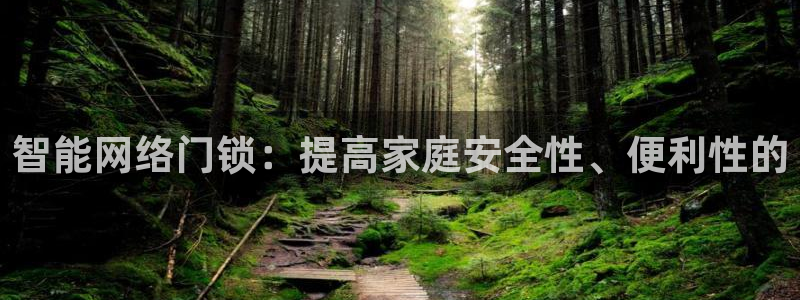 金年会综合APP：智能网络门锁：提高家庭安全性、便利性的