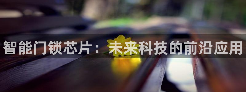 金靖年会：智能门锁芯片：未来科技的前沿应用