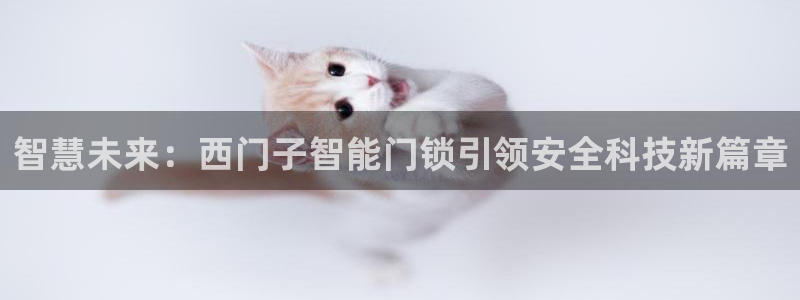 金年会APP安装下载：智慧未来：西门子智能门锁引领安全科技新