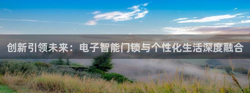 金年会入口：创新引领未来：电子智能门锁与个性化生活深度融合