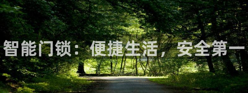 金年会综合APP：智能门锁：便捷生活，安全第一