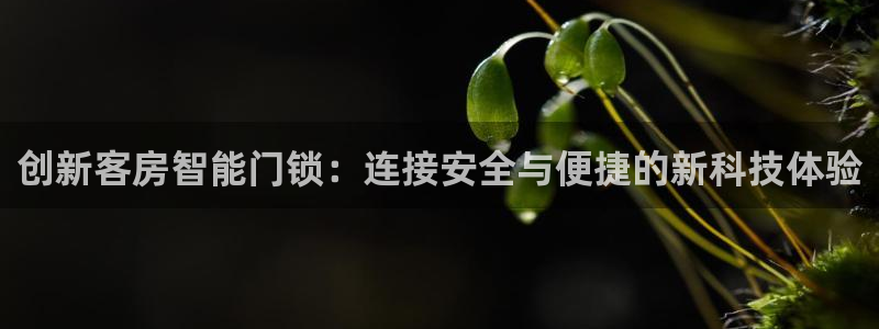金年会app下载官网：创新客房智能门锁：连接安全与便捷的新科