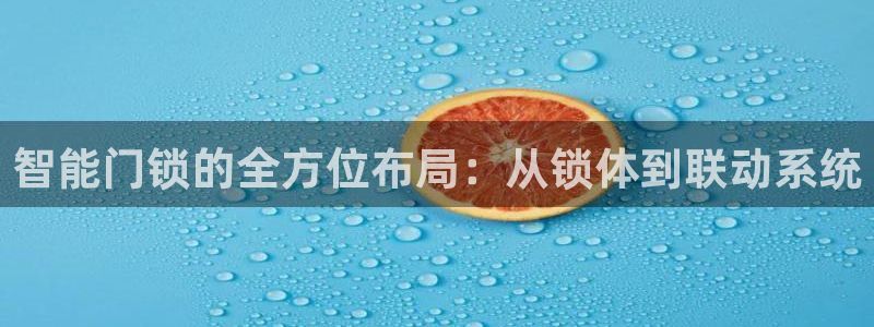 金诚集团年会：智能门锁的全方位布局：从锁体到联动系统