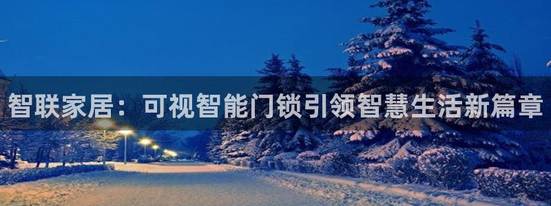 金年会游戏官网：智联家居：可视智能门锁引领智慧生活新篇章