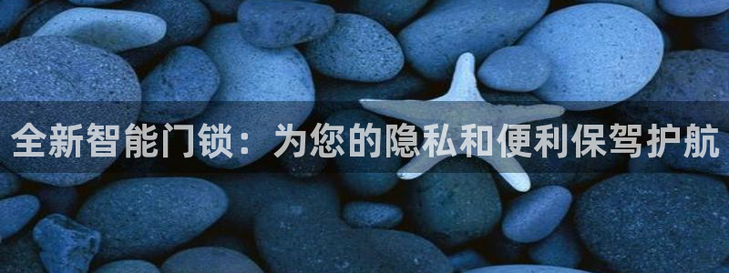 金年会官网登入：全新智能门锁：为您的隐私和便利保驾护航