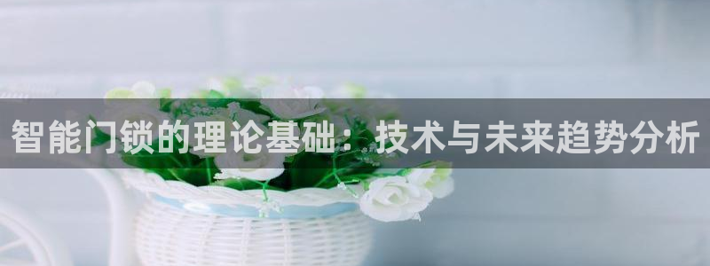 金年会app在线：智能门锁的理论基础：技术与未来趋势分析