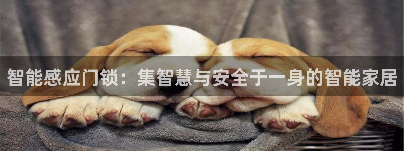 金年会官网地址：智能感应门锁：集智慧与安全于一身的智能家居