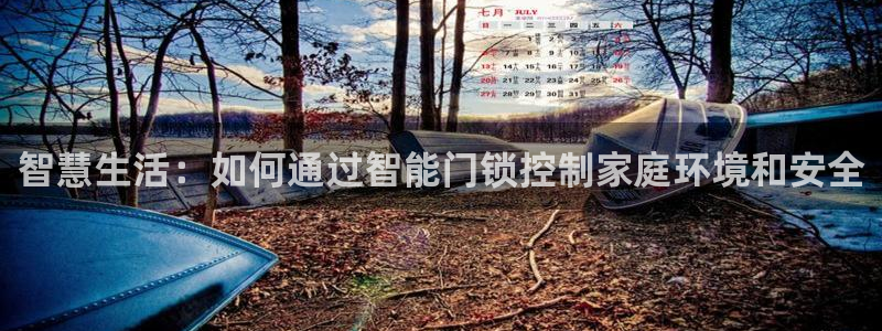 金年会手机版：智慧生活：如何通过智能门锁控制家庭环境和安全