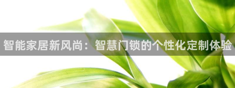 金年会退款：智能家居新风尚：智慧门锁的个性化定制体验
