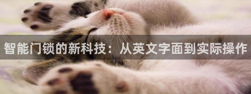 金年会 信誉至上：智能门锁的新科技：从英文字面到实际操作