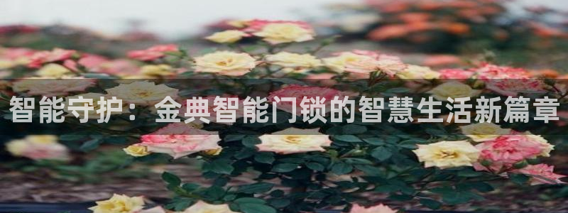 融通金年会：智能守护：金典智能门锁的智慧生活新篇章