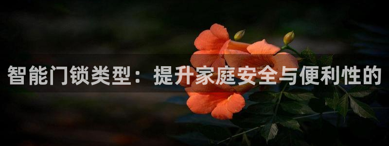 金吉年会：智能门锁类型：提升家庭安全与便利性的