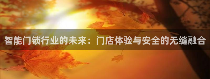 金年会 1080P：智能门锁行业的未来：门店体验与安全的无缝