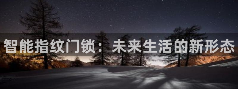金年会黑网：智能指纹门锁：未来生活的新形态