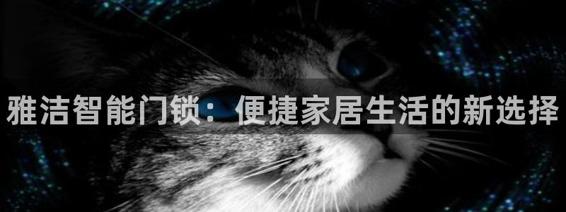 金年会入口网站：雅洁智能门锁：便捷家居生活的新选择