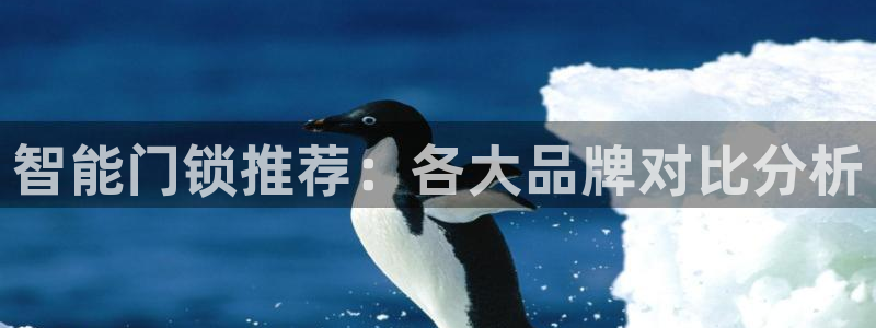 金年会黑网：智能门锁推荐：各大品牌对比分析