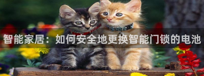 金年会金字招牌信誉：智能家居：如何安全地更换智能门锁的电池