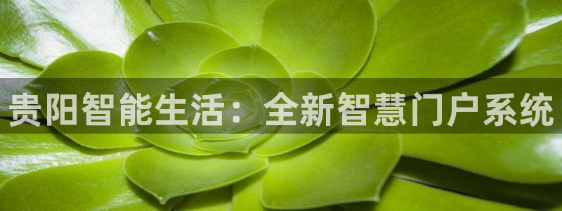 金年会娱乐和马竞：贵阳智能生活：全新智慧门户系统