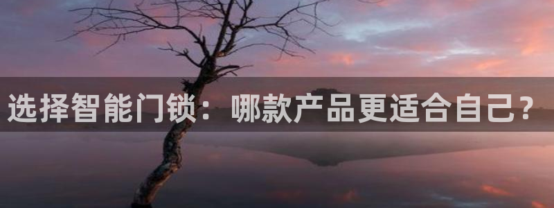 金年会101：选择智能门锁：哪款产品更适合自己？