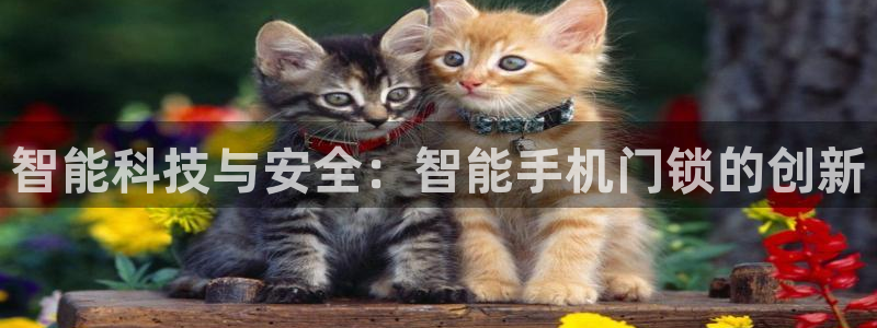 金年会ios下载：智能科技与安全：智能手机门锁的创新