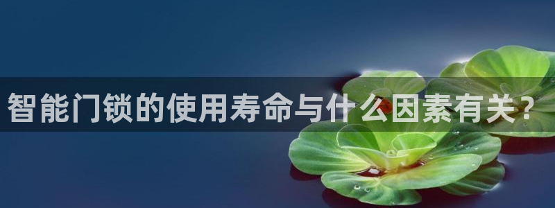 金年会：智能门锁的使用寿命与什么因素有关？