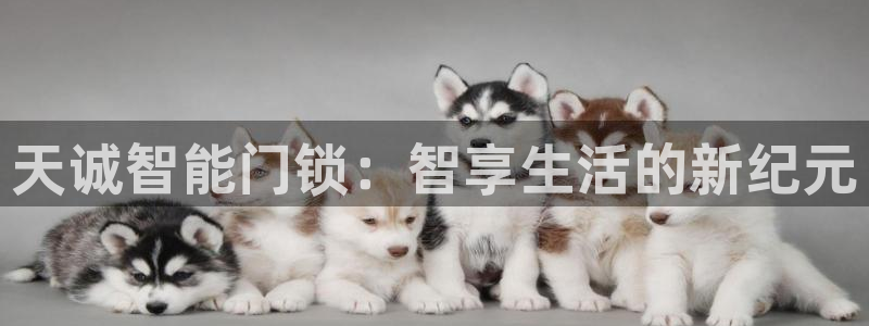 金年会中国金年会登录：天诚智能门锁：智享生活的新纪元