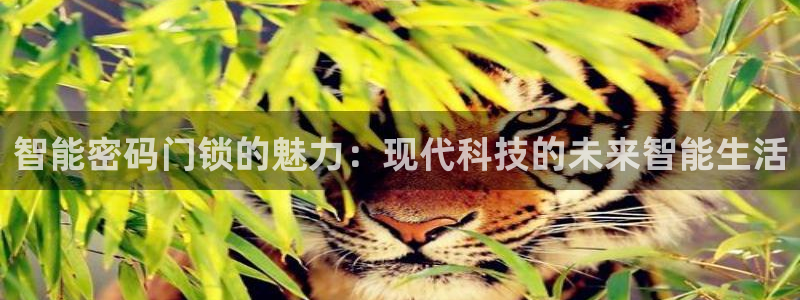 金年会.cc：智能密码门锁的魅力：现代科技的未来智能生活