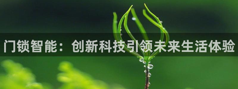 金年会提款：门锁智能：创新科技引领未来生活体验