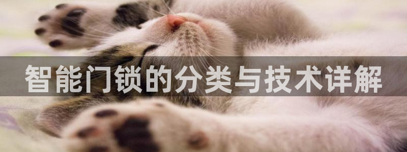 金年会提款：智能门锁的分类与技术详解