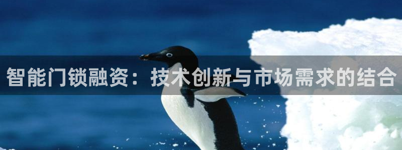 金年会体育下载：智能门锁融资：技术创新与市场需求的结合